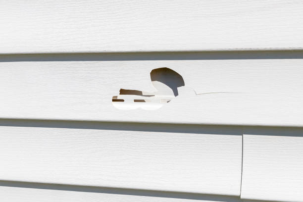 Best Storm Damage Siding Repair  in Elmwood Park, NJ